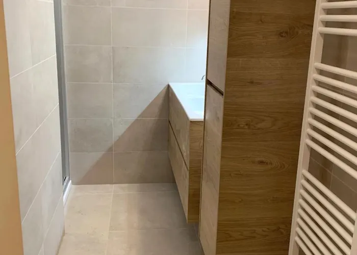 Bel Air - Renovated With Panoramic Sea View T61 Apartment Ostend